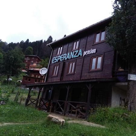 Pensjonat Esperanza Apart & Pension Ayder Yaylasi Zewnętrze zdjęcie