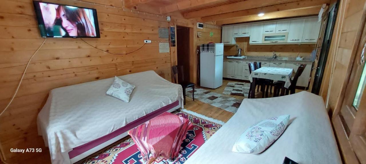 Pensjonat Esperanza Apart & Pension Ayder Yaylasi Zewnętrze zdjęcie