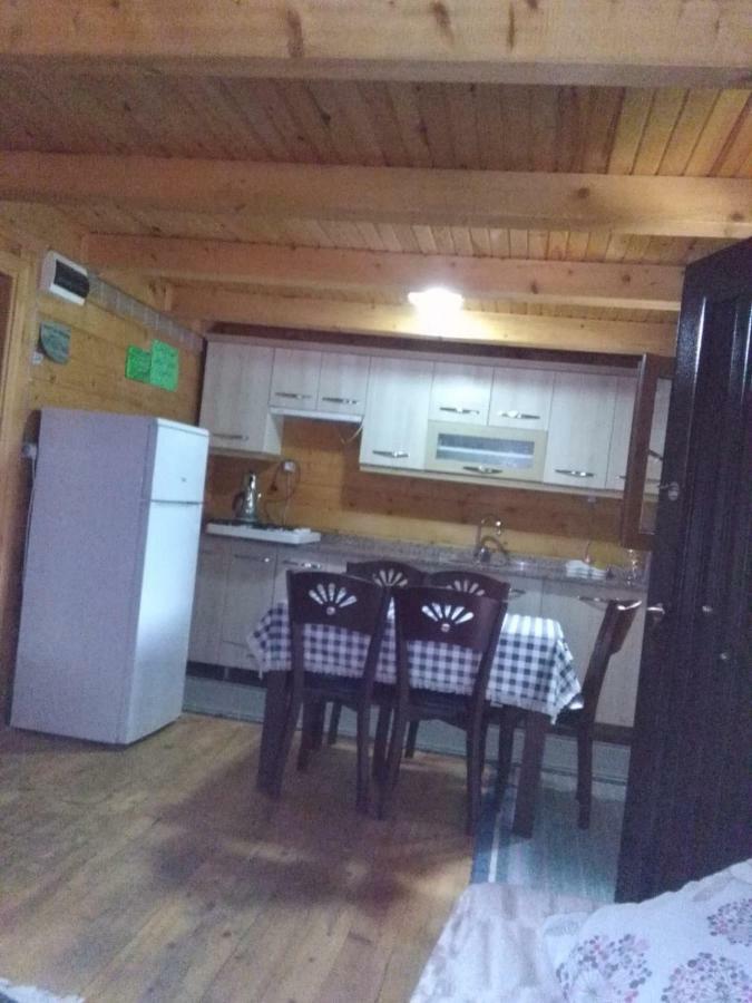 Pensjonat Esperanza Apart & Pension Ayder Yaylasi Zewnętrze zdjęcie